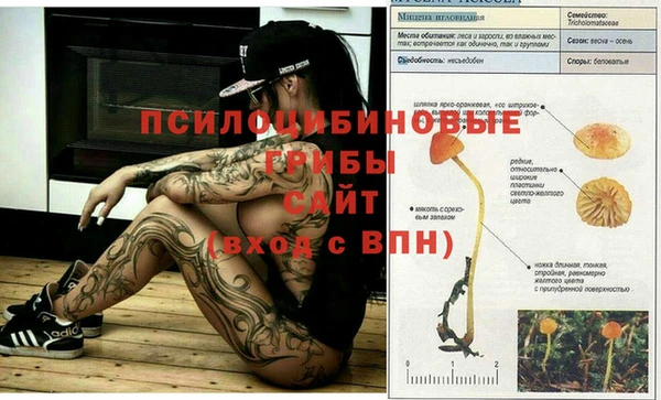 синтетический гашиш Абаза