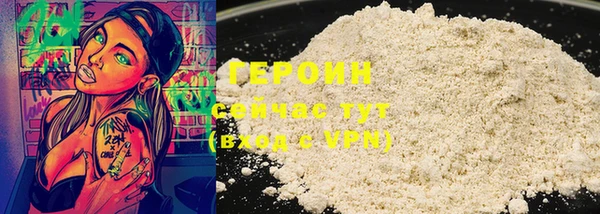 прущие грибы Ельня