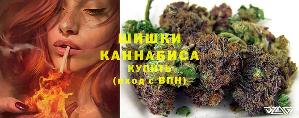 соль ск Елабуга