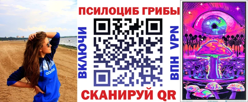 Псилоцибиновые грибы Cubensis  Суоярви 